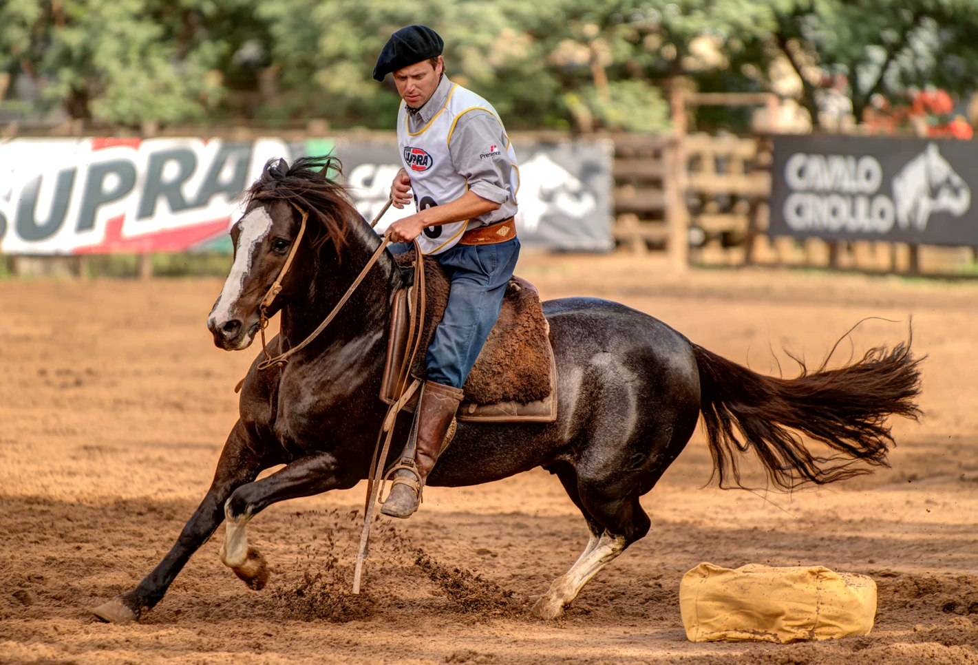 A foto mostra um homem montado em um cavalo