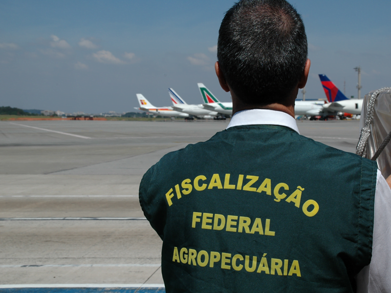 Foto de homem com colete da Fiscalização Federal Agropecuária em pista de aeroporto.