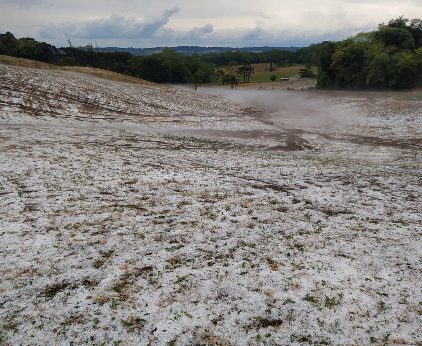 Foto de lavoura e campos cobertos de branco por granizo.