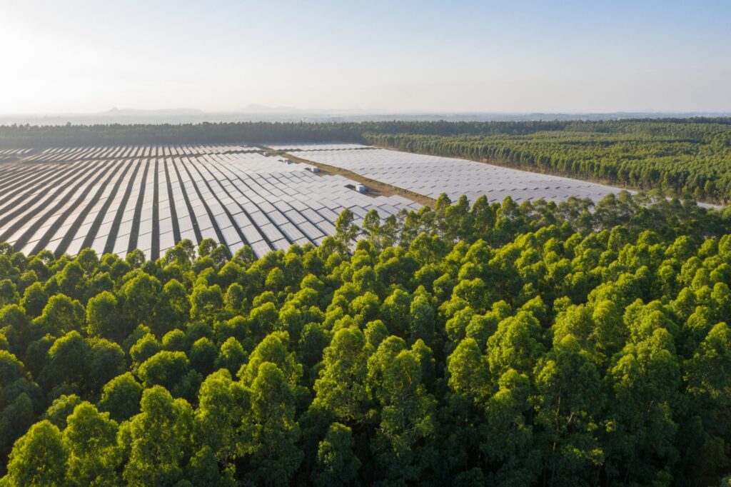 Painéis de energia solar ao fundo de árvores.