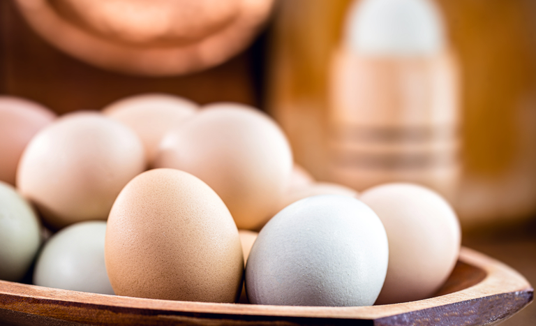 Ovos: ajuste entre oferta e demanda sustenta cotações