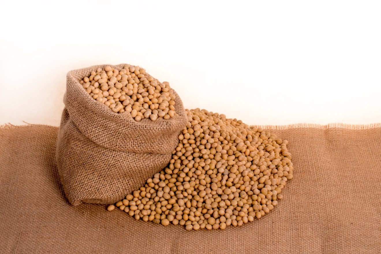 soja