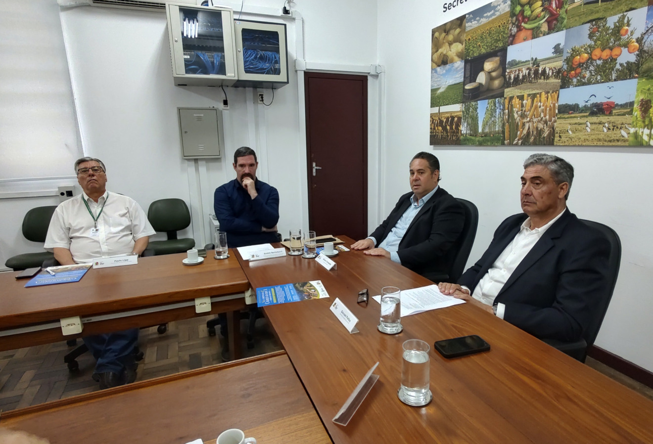 Coletiva do lançamento da Abertura da Colheita da Oliva