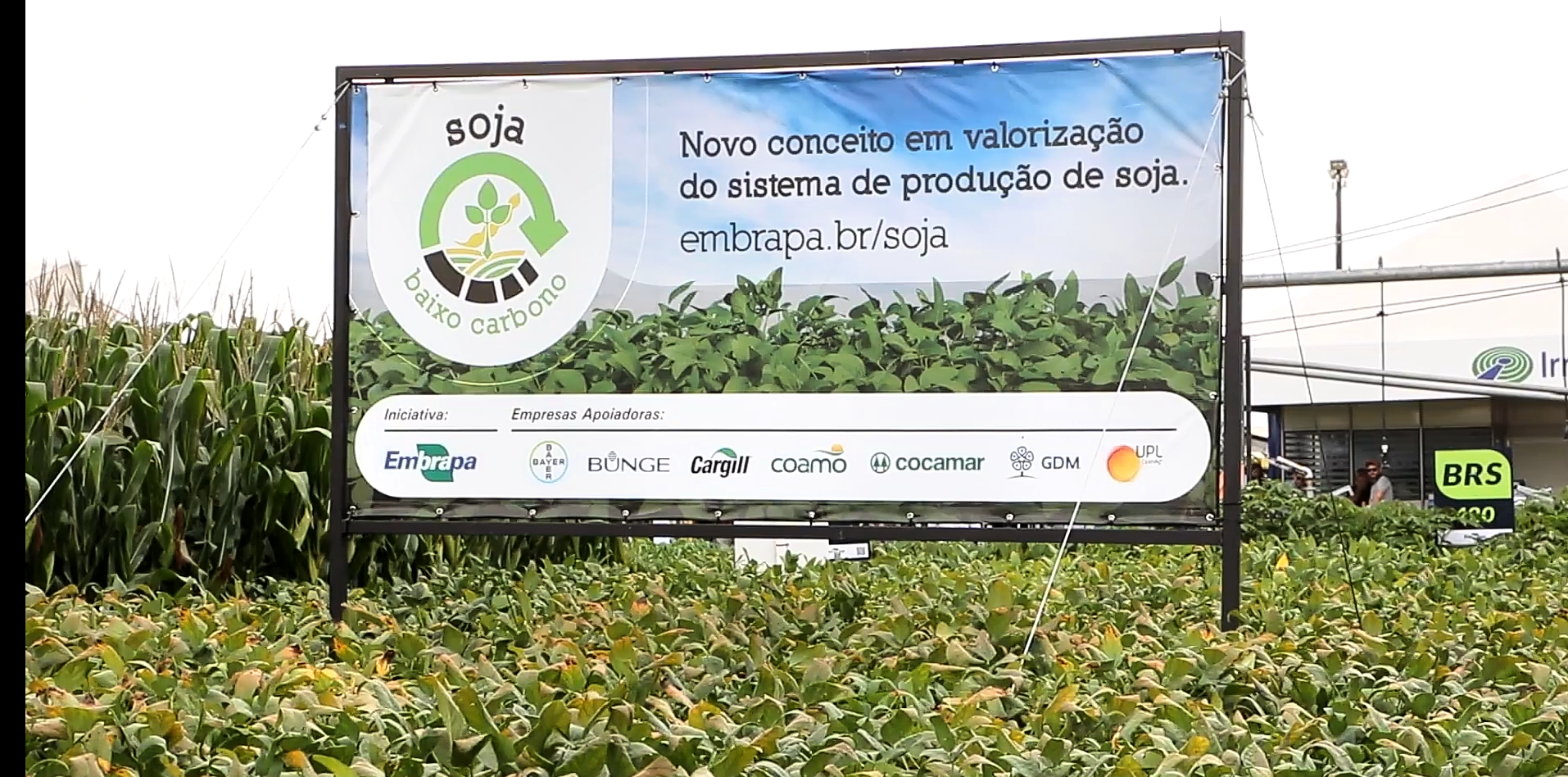 Embrapa apresenta projeto de Selo Soja Baixo Carbono