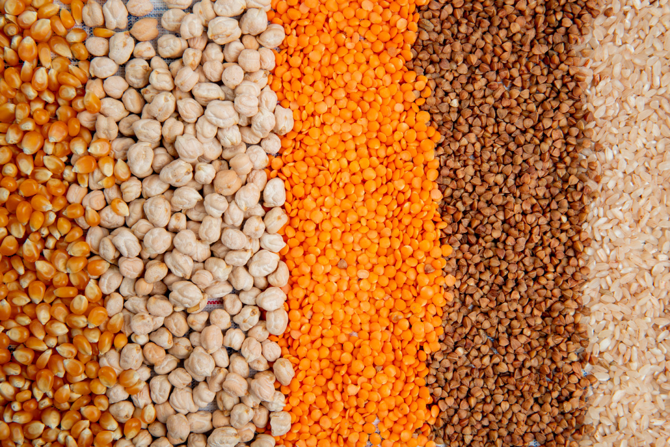 Diferentes sereais, milho, arroz, trigo, grãos de bico