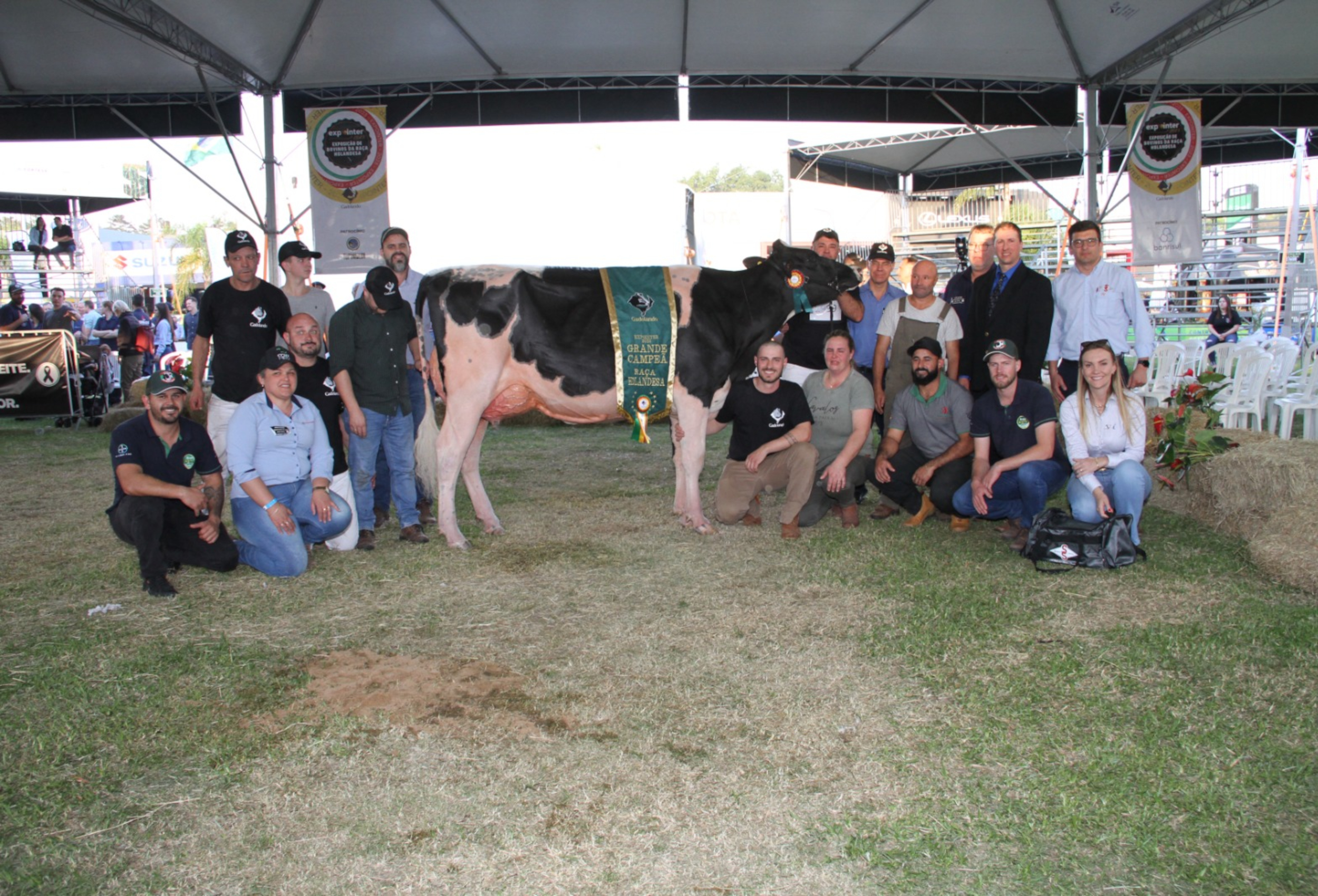 Criadores do RS surpreendem em premiação nacional. 3 vencedores do rs raca holandesa