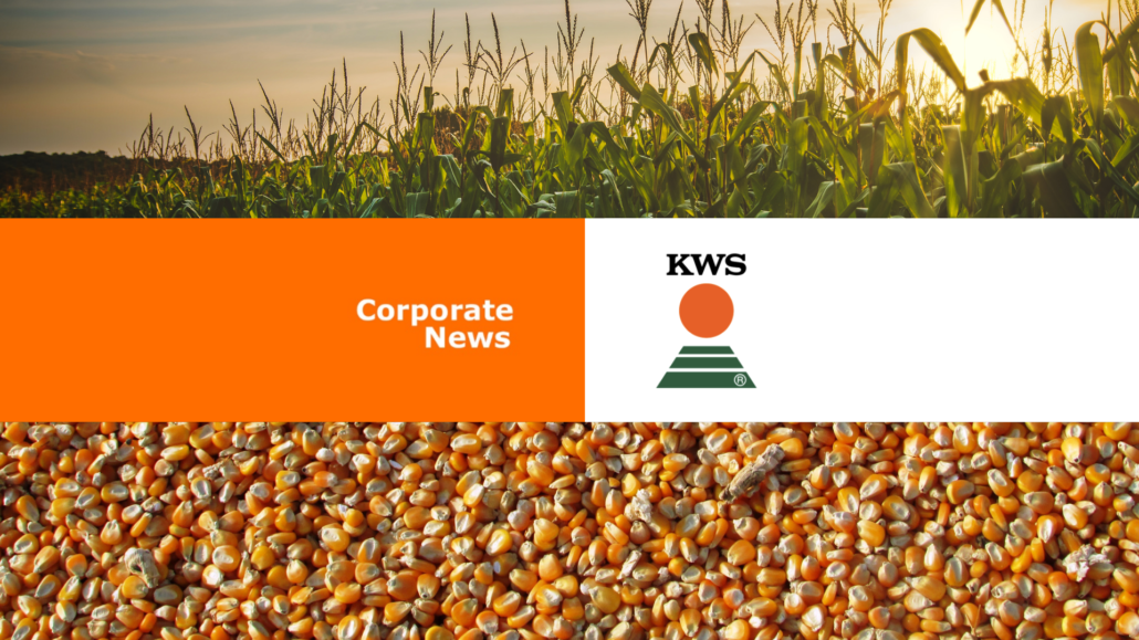 GDM adquire o negócio de milho da KWS no Brasil