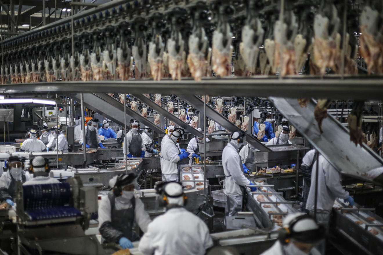 Cooperativa C Vale - Industria de Aves e Tilapia