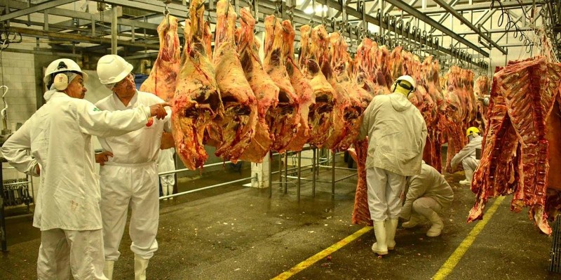 carne bovina