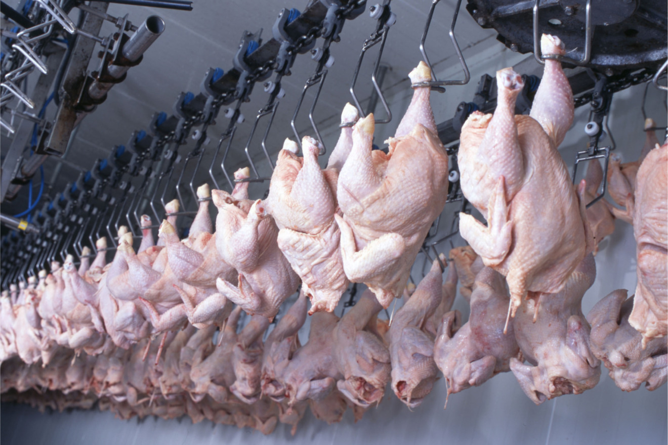 Foto de frigorífico com frangos pendurados em suportes.