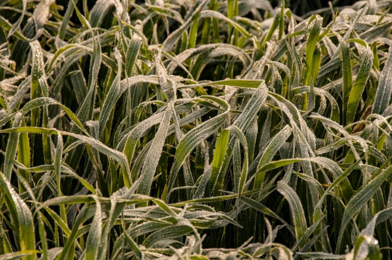 WhatsApp Image 2021 04 09 at 12.35.49 PM 1