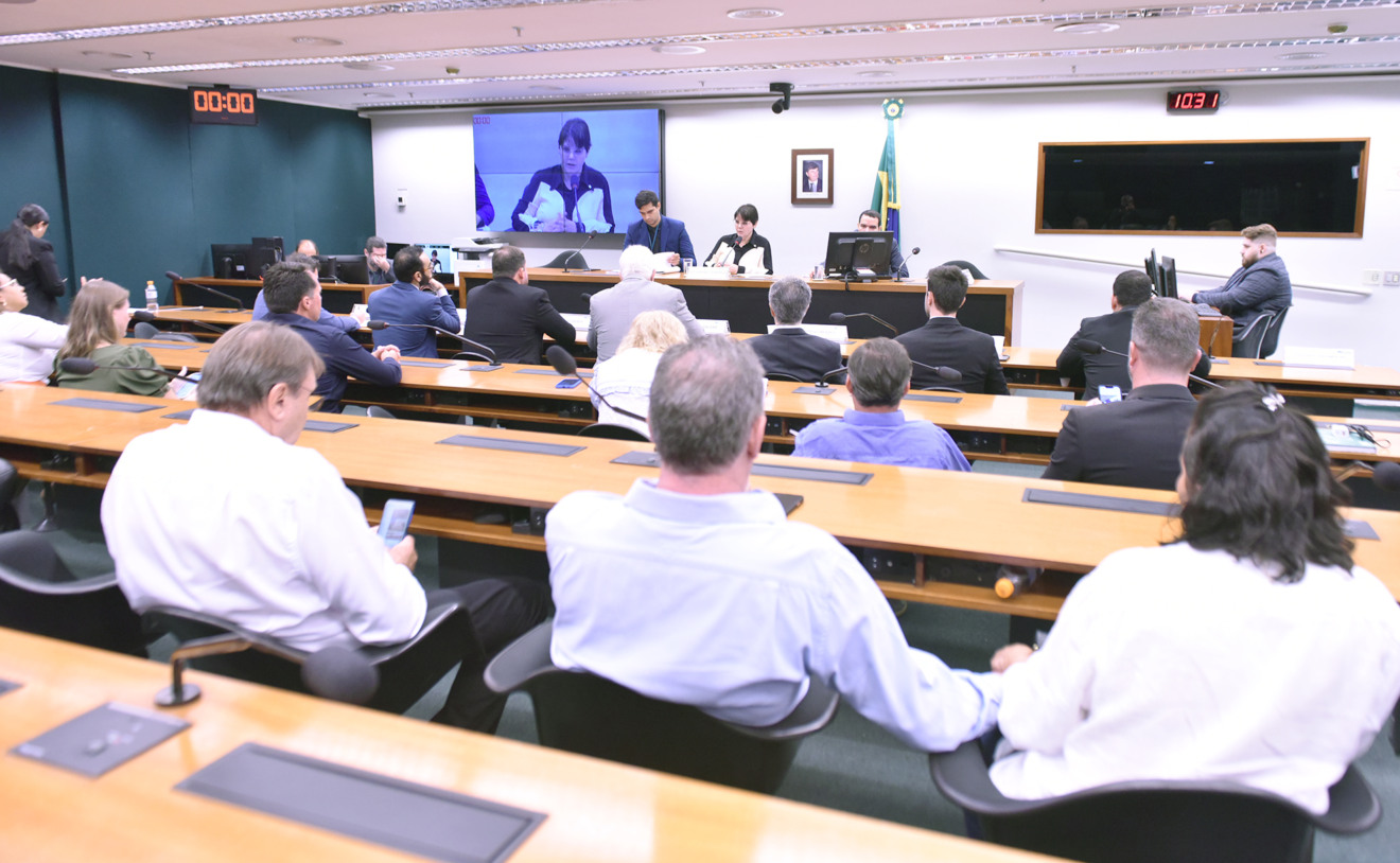 Foto de audiência na Comissão de Agricultura da Câmara dos Deputados.