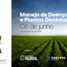 Fórum Desafios da Soja aborda tendências para a produção em Ponta Grossa-PR