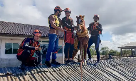 Foto de profissionais em cima de telhado com égua.