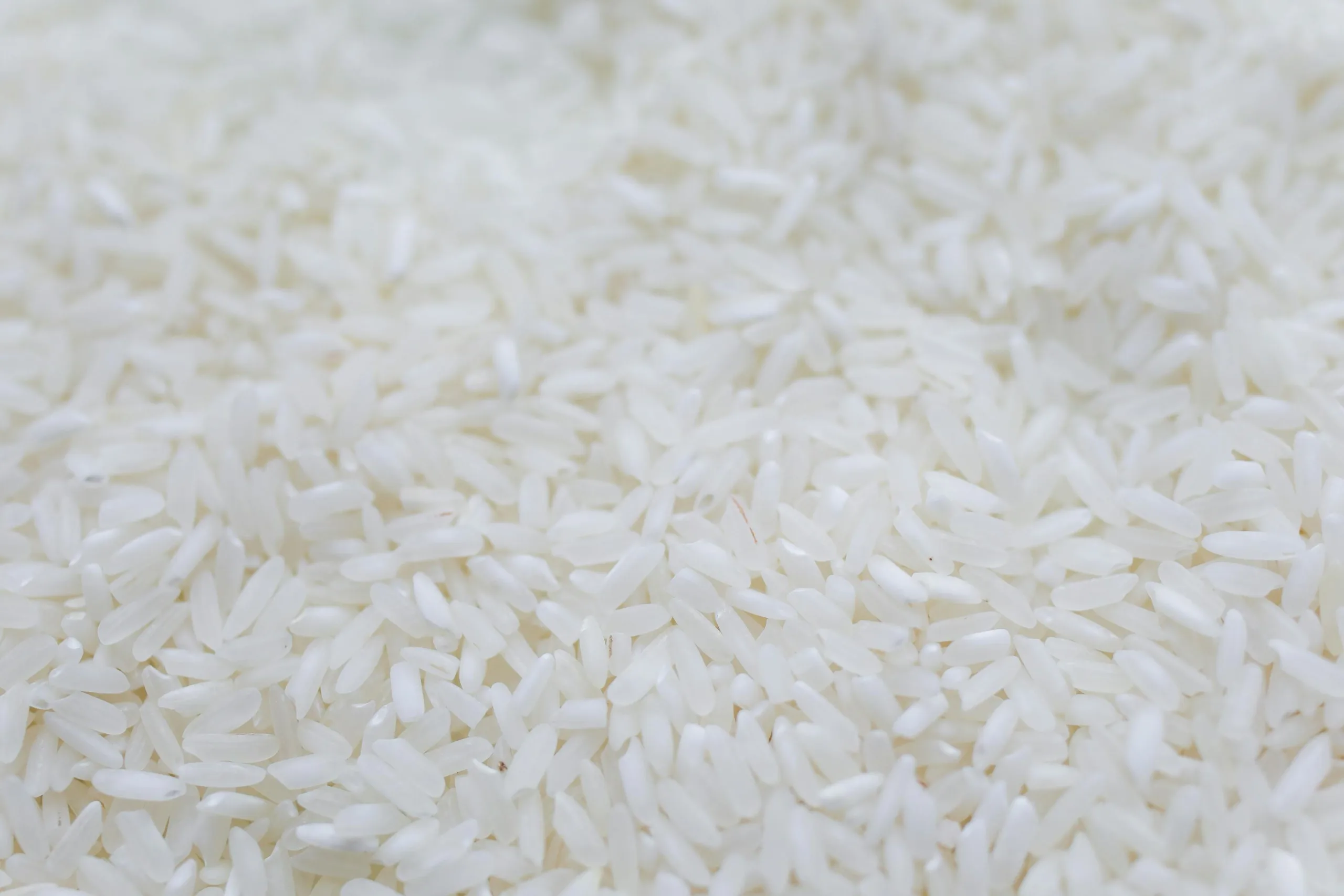 Foto de grãos de arroz.
