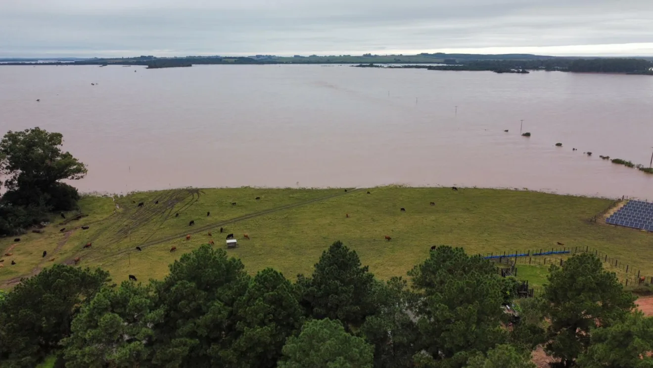 Foto de área agrícola submersa.