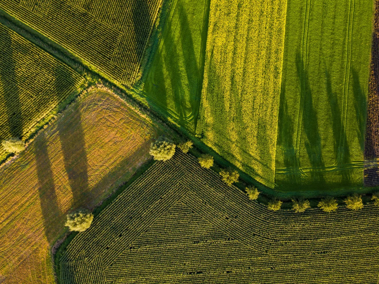 Foto aérea de área rural.