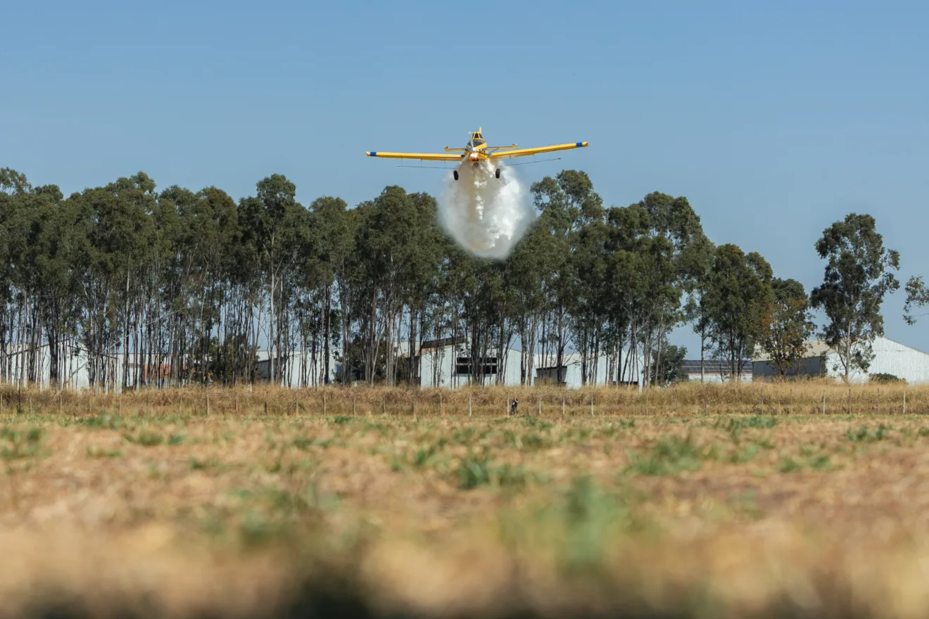 Foto de avião agrícola amarelo dispersando produtos sobre área agrícola.