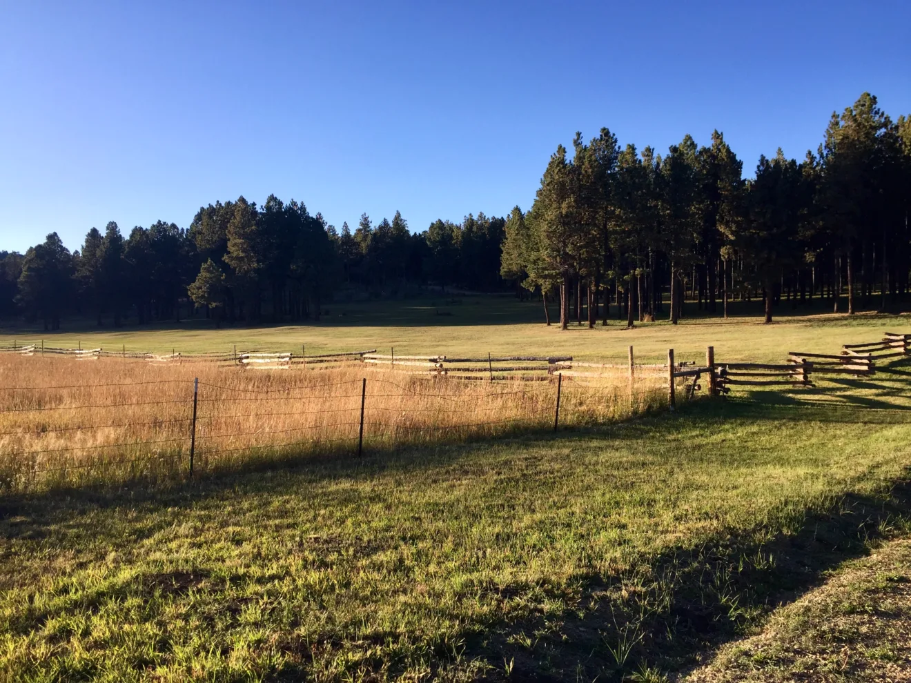 Foto de cerca em área agrícola.