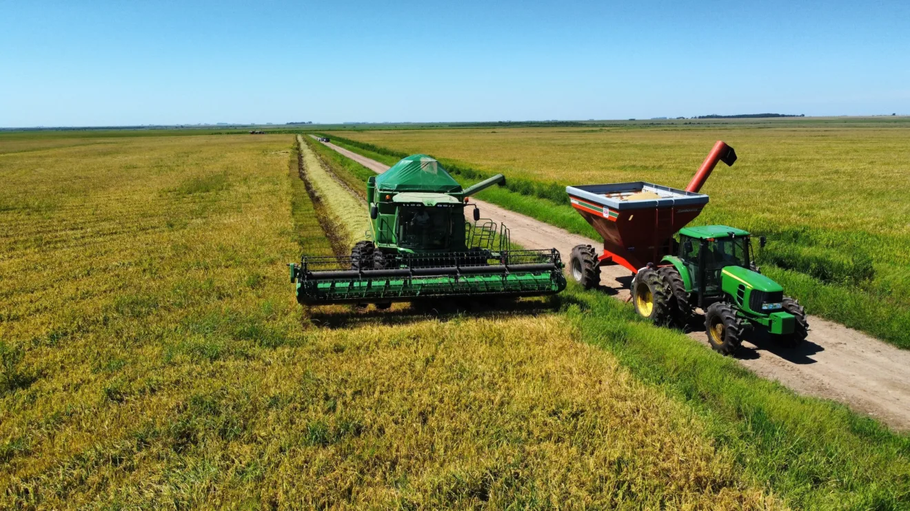 Foto de colheitadeira e carreta graneleira em lavoura de arroz.