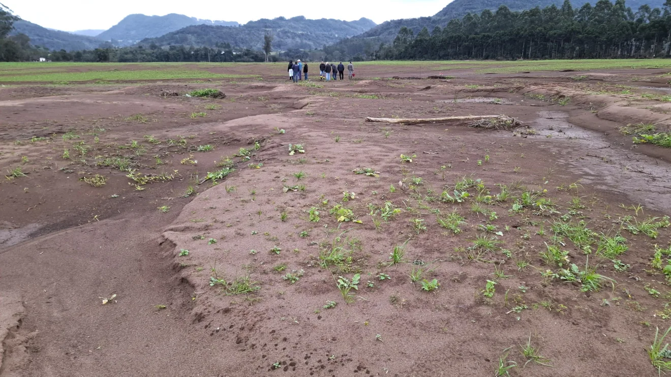 Foto de solo agrícola com poucas plantas.