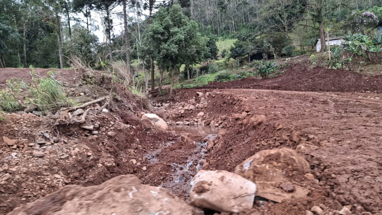 Foto de área de terra com falhas, pedras e árvores caídas.