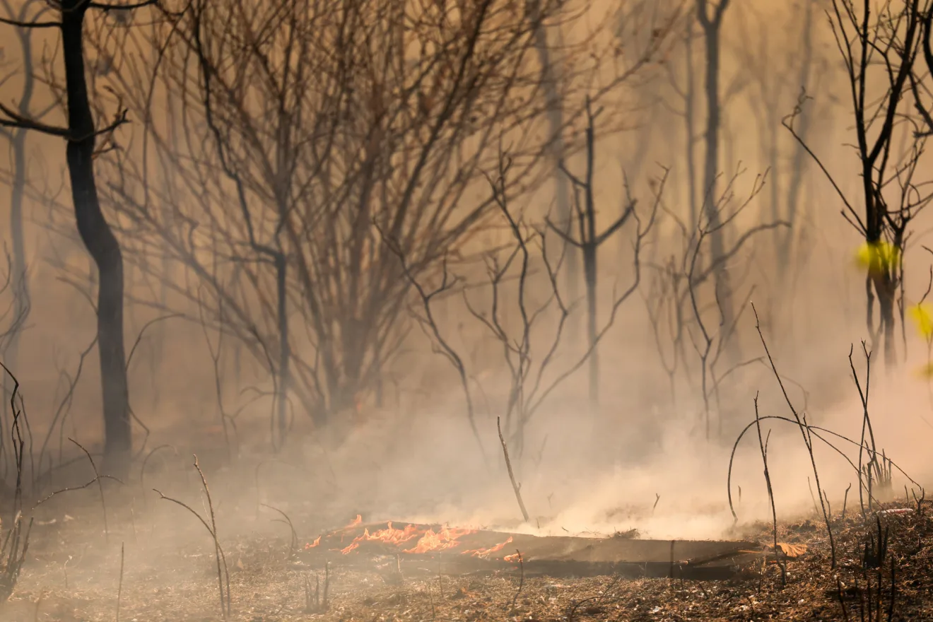 Foto de área de floresta queimada ainda com focos de incêndio.