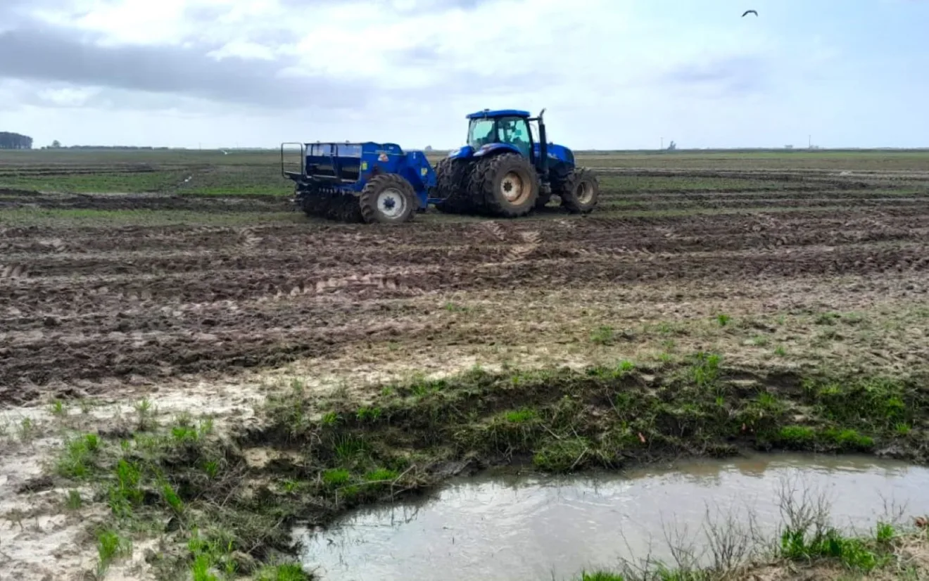 Foto de semeadeira de arroz azul em lavoura.