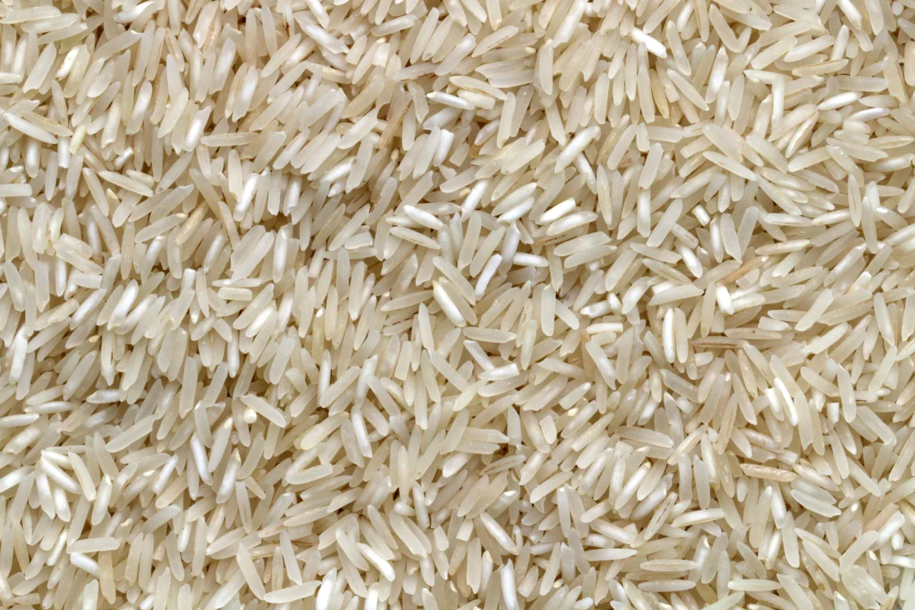 Foto de grãos de arroz.