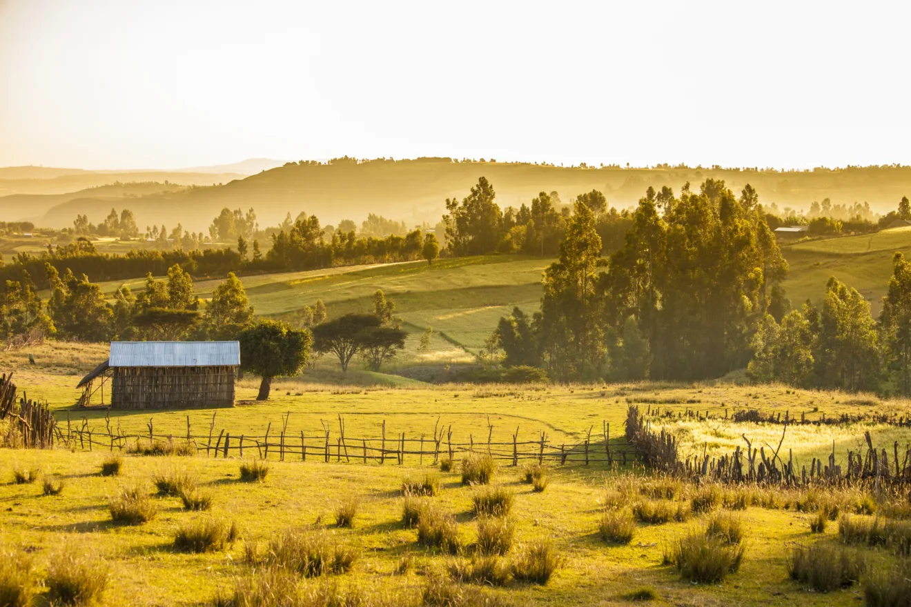 Fazendas e montanhas.