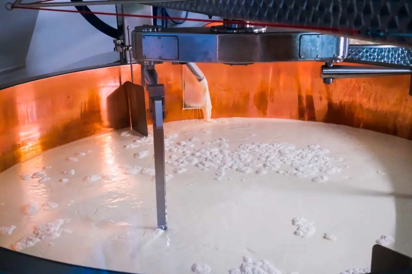 Cubas com leite fresco em unidade industrial de produção de queijos e soro de leite.