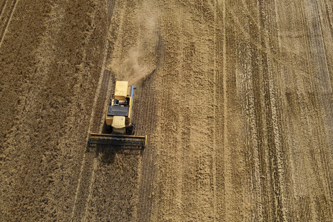 Foto de colheitadeira avançando em lavoura de cevada.