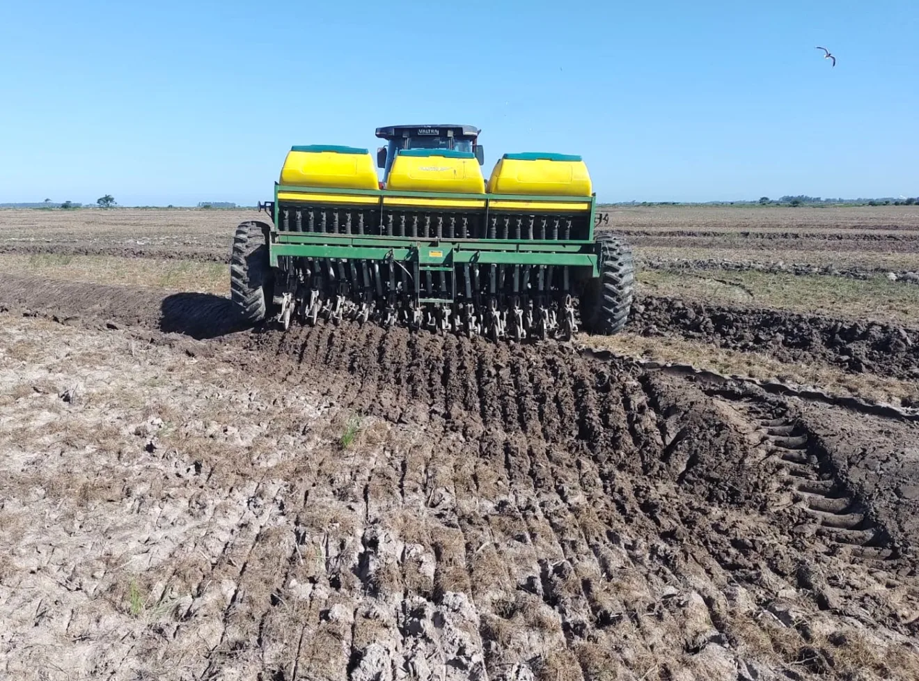 Foto de semeadora em lavoura de arroz.