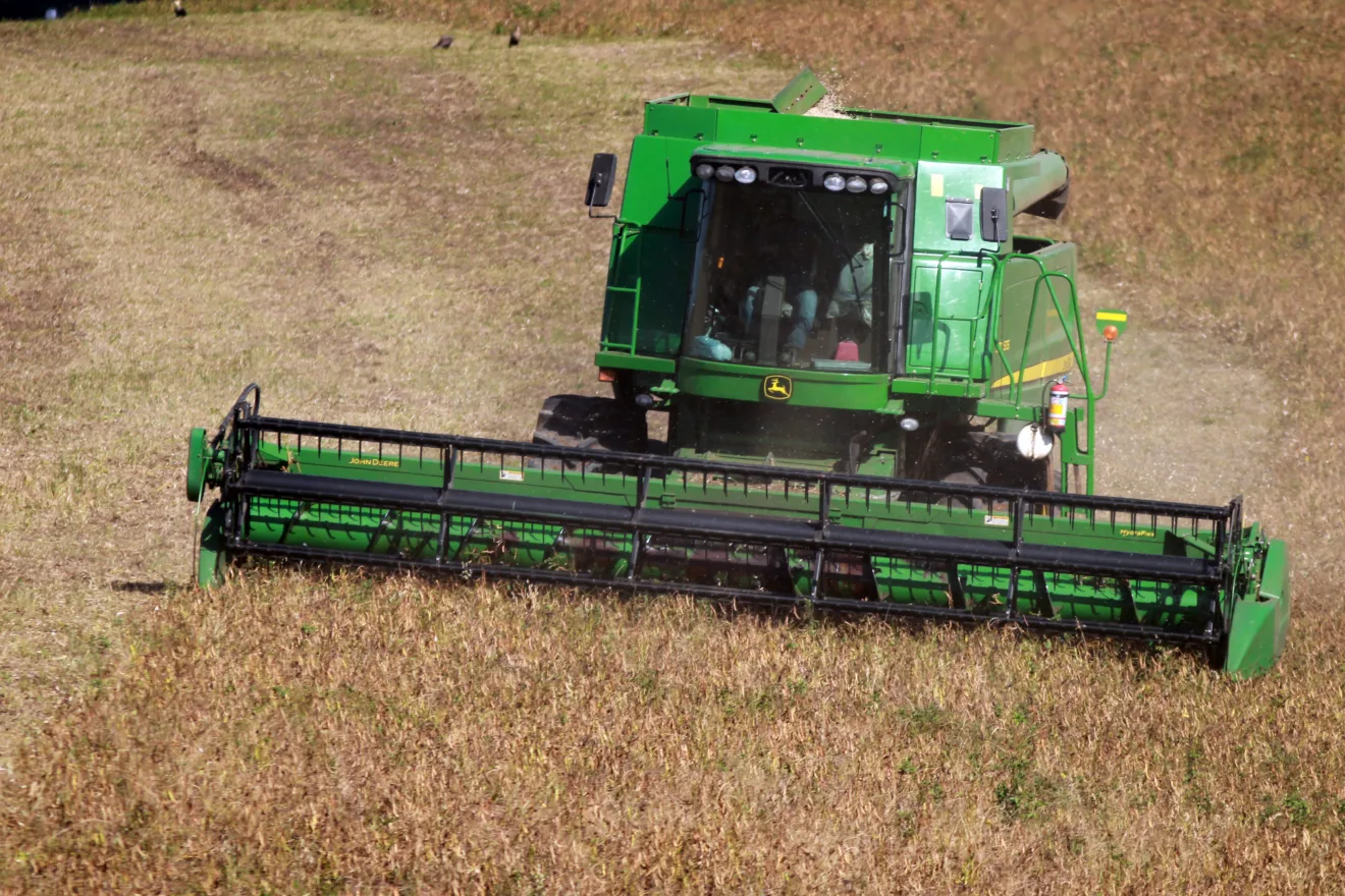 Foto de colheitadeira verde avançando em lavoura de feijão.