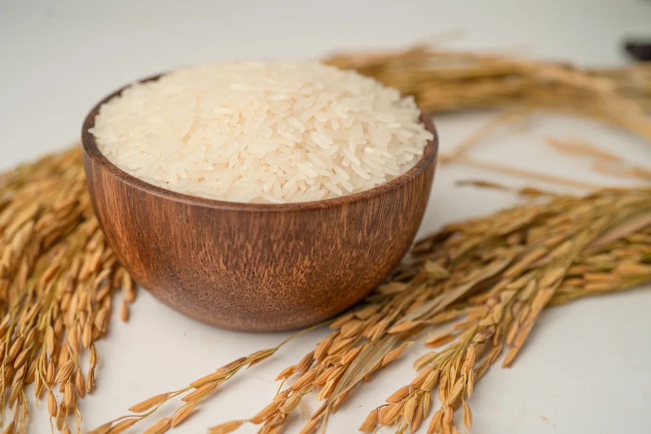 Arroz branco jasmim em tigela de madeira com grãos dourados de fazenda agrícola.