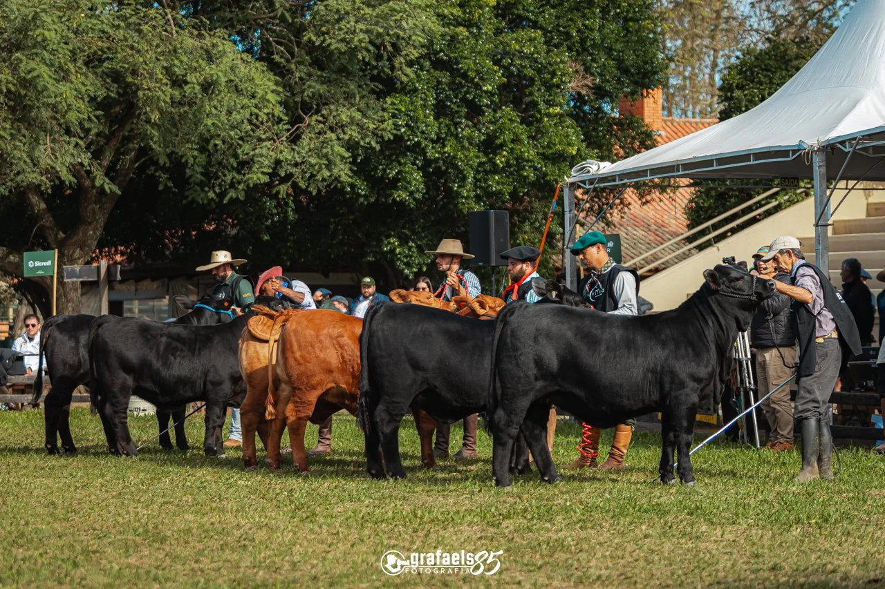 Evento ExpoBrangus 2025.