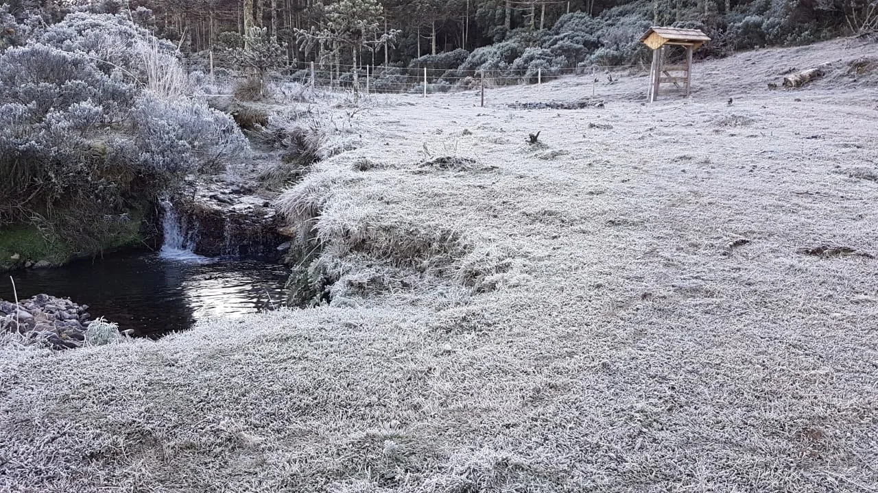 Foto de geada no campo .