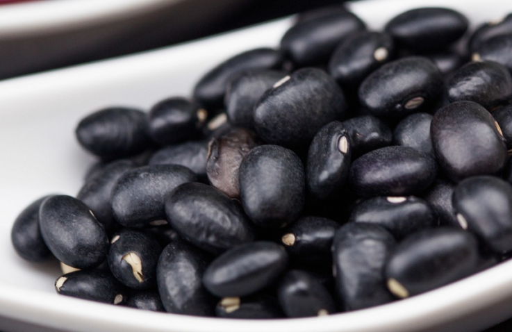 Foto de grãos de feijão.